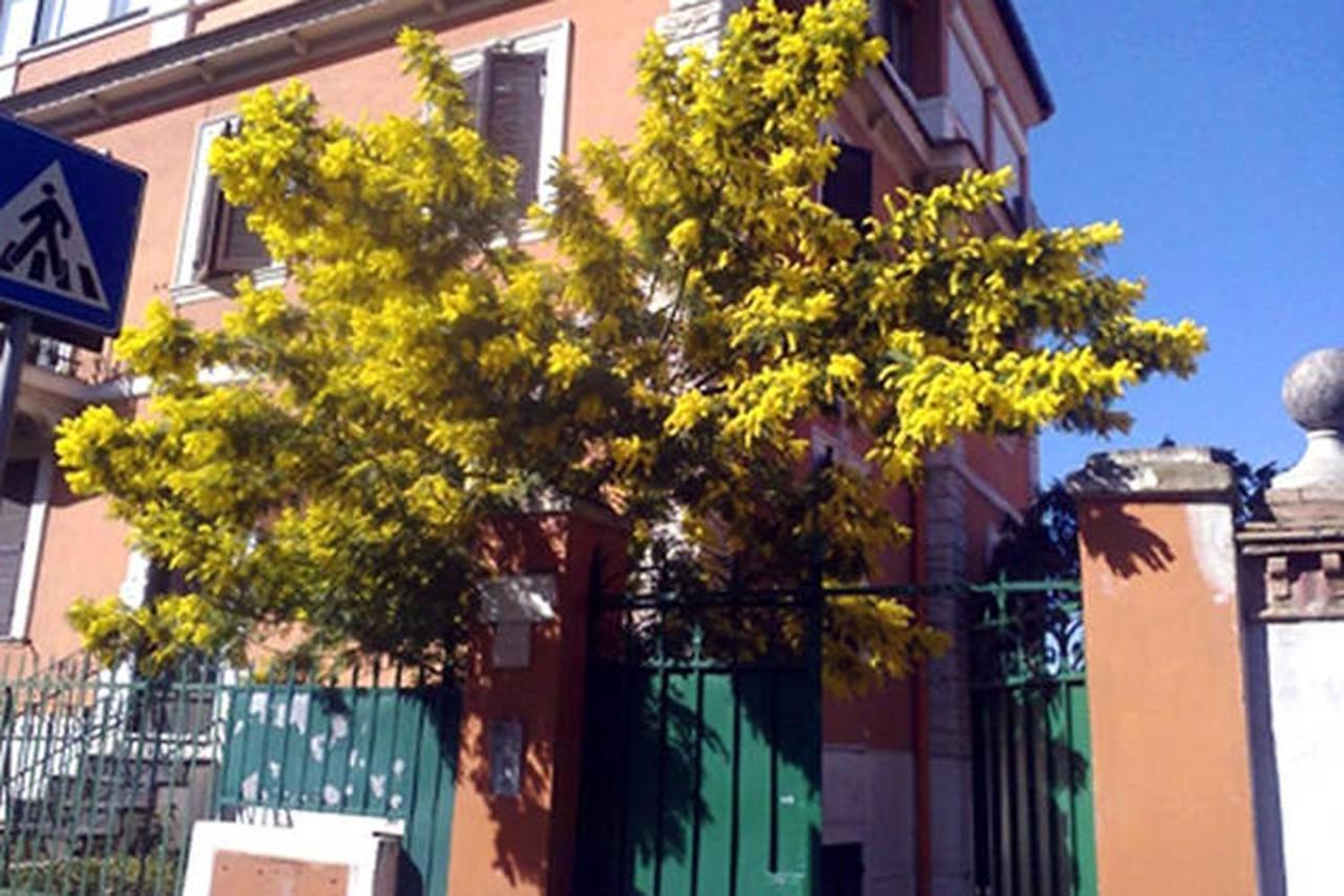 Garden Flat By Vatican Walls روما المظهر الخارجي الصورة
